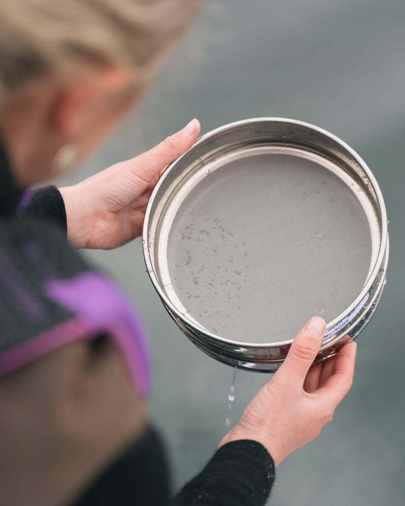 simple sieve method, collecting microplastic samples from lake wanaka