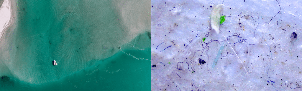 left: macro view of makarora river, right: micro view of water sample taken from makarora river